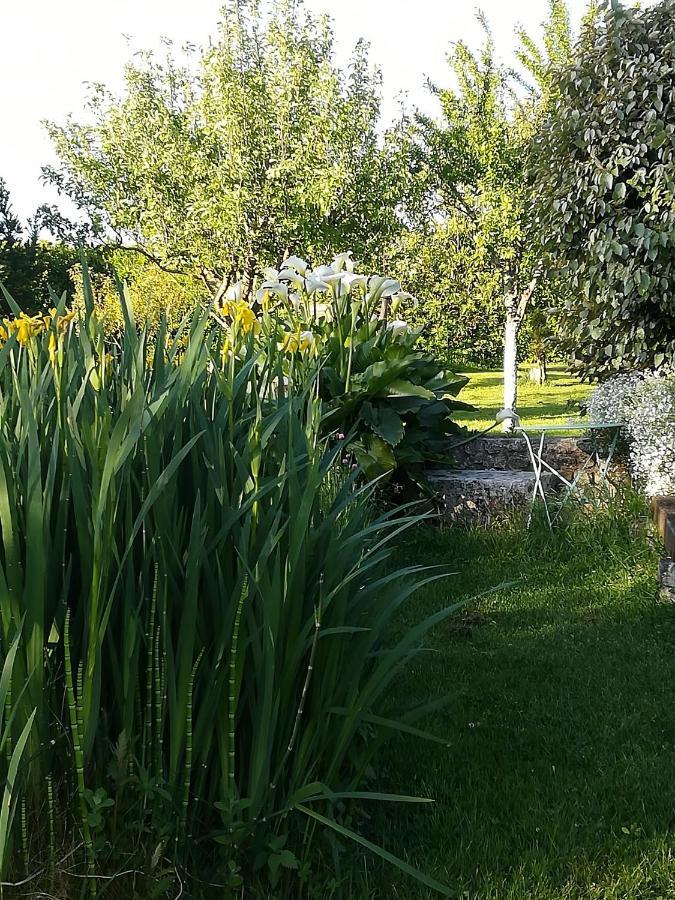 Bed and Breakfast La Cle Du Puy Cabariot Экстерьер фото
