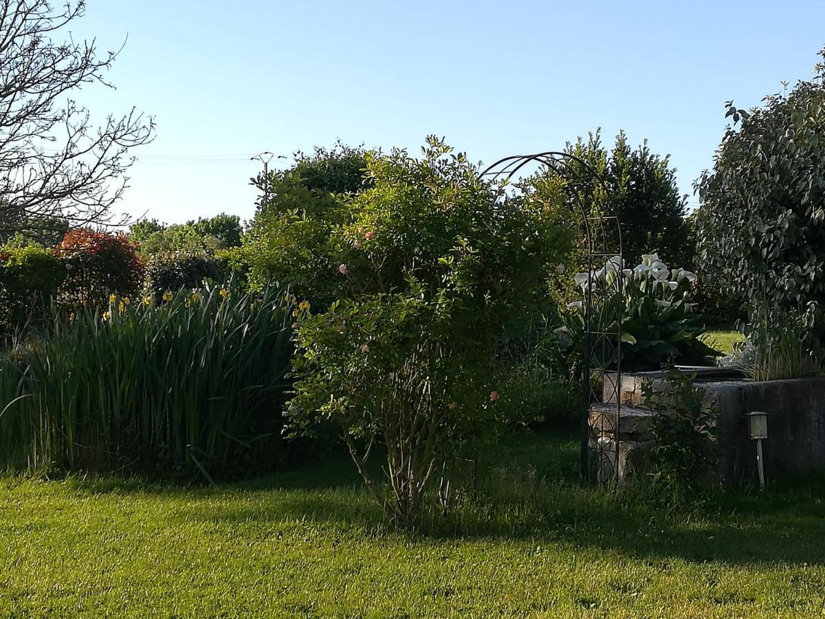 Bed and Breakfast La Cle Du Puy Cabariot Экстерьер фото